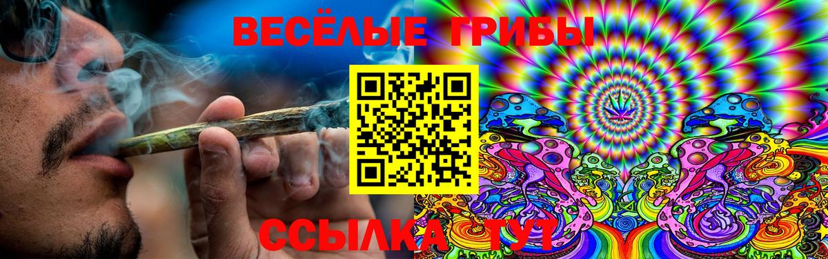 Галлюциногенные грибы Magic Shrooms  где продают   Галлюциногенные грибы ЛСД  Миасс  Вход с VPN 